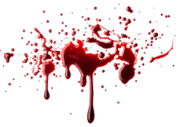 blood